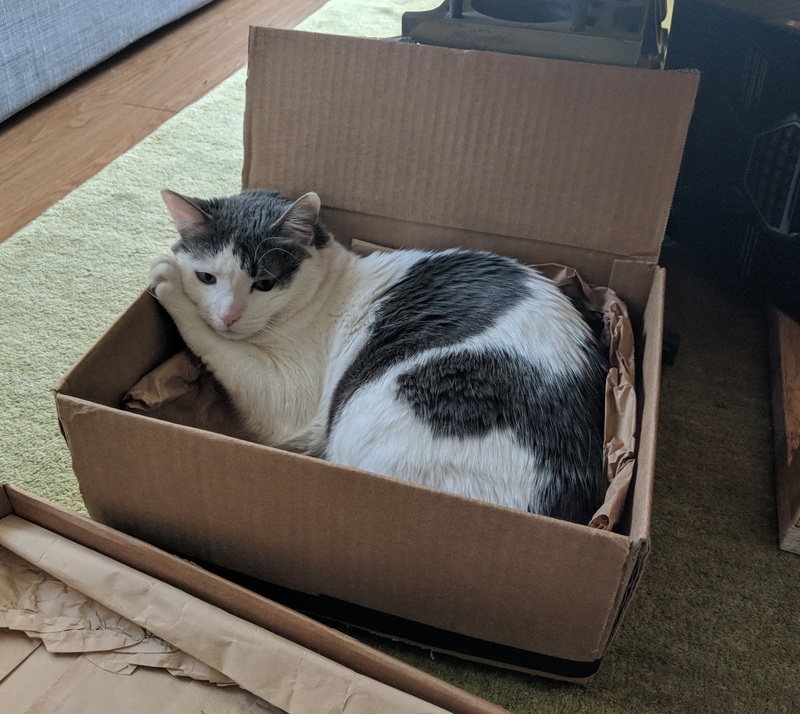 Illustration for article titled If I Fits, I Sits.